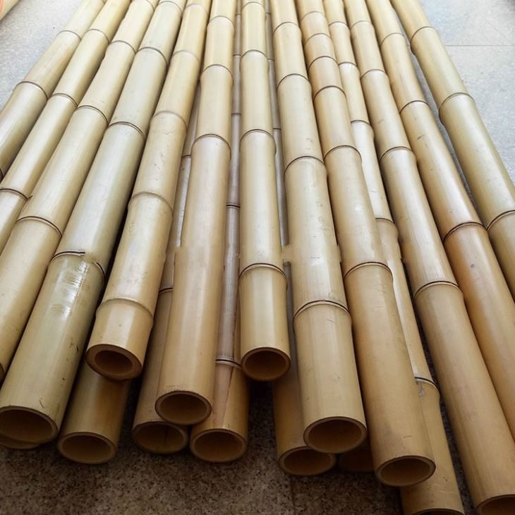 Colmos de bambu empilhados, com as pontas cortadas voltadas para a câmera
